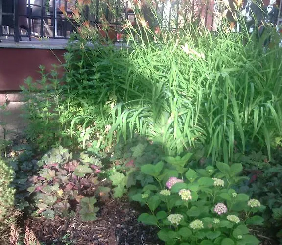 ベッド・アンド・ブレックファスト Stan Es Panzio